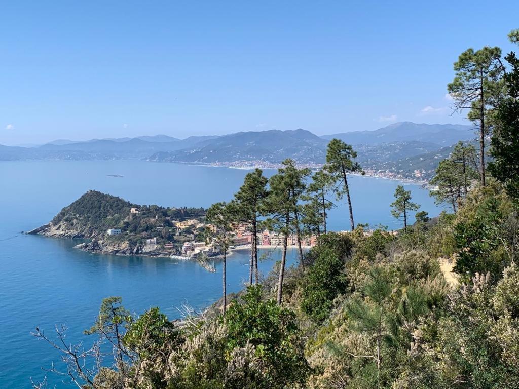 La Pergola Dei Paggi Villa เซสตรี เลวานเต ภายนอก รูปภาพ